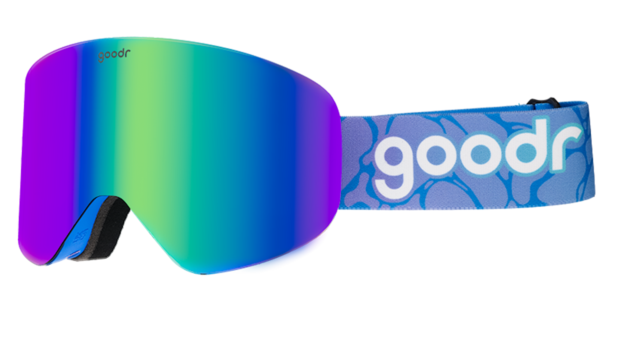 Cold-Blooded Lodge Lizard