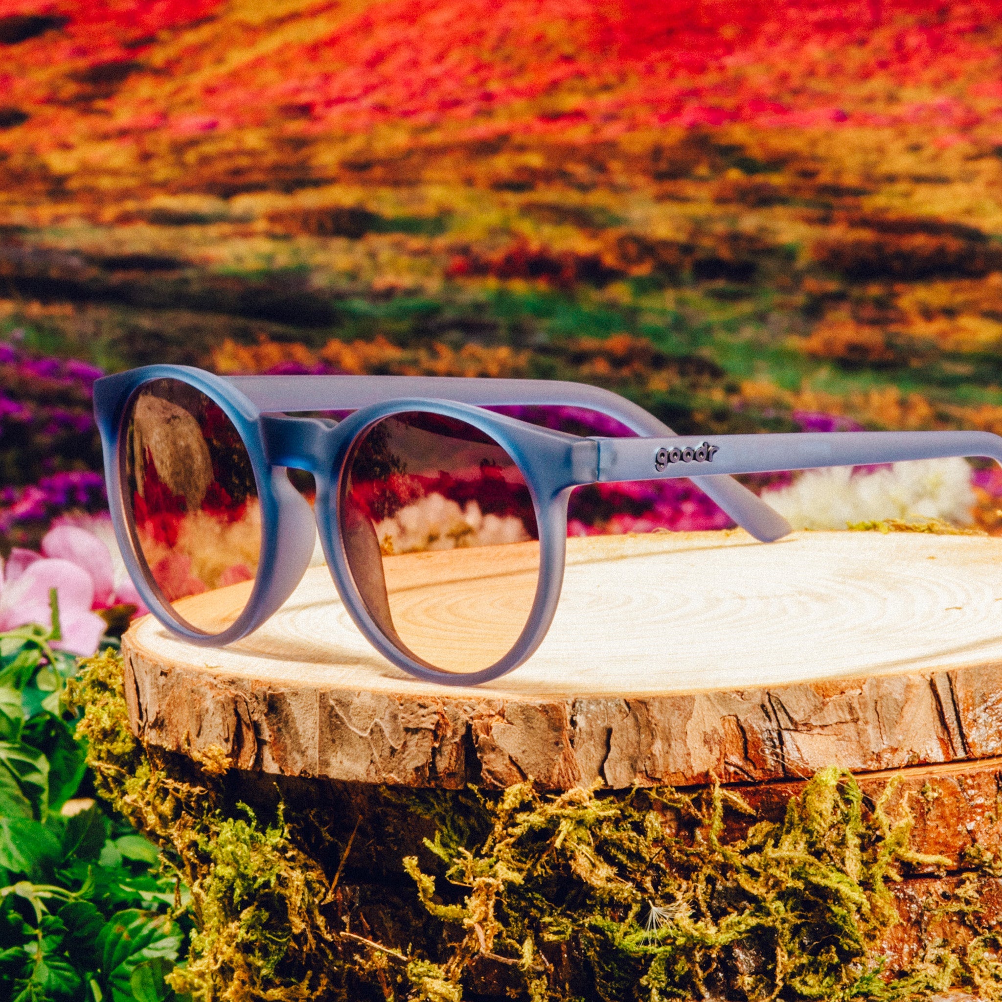 Stares Into the Abyss